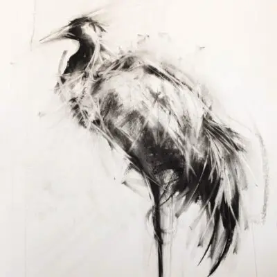 C 11, grafika 70 cm x 100 cm