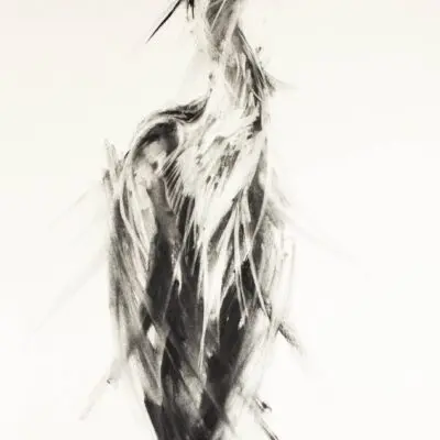 C 12, grafika 71 cm x 100 cm