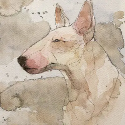 S 58, grafika 18 cm x 24 cm