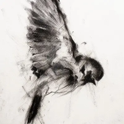 D 24, grafika 24 cm x 32 cm