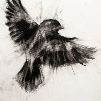 D 26, grafika 24 cm x 32 cm