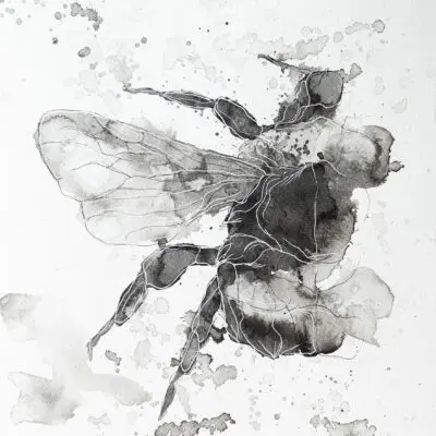 D 41, grafika 24 cm x 32 cm