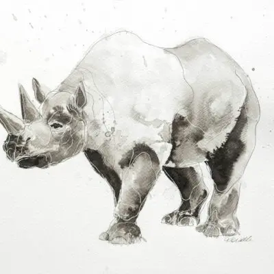 W 31, grafika 24 cm x 32 cm