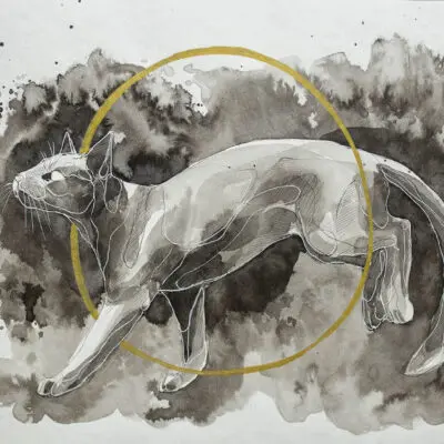 F 20 grafika 24 cm x 32 cm