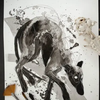 F 51 grafika 30 cm x 40 cm