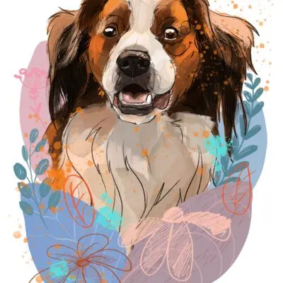 cyfrowy portret rasy-  kooikerhondje