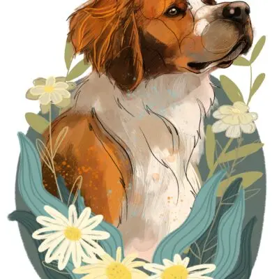 cyfrowy portret rasy-  spaniel bretoński