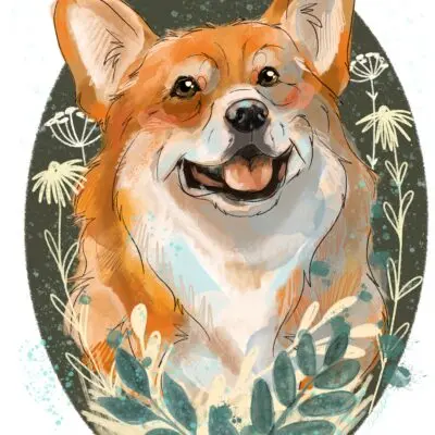 cyfrowy portret rasy-  corgi