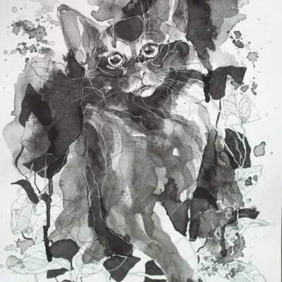 F 59, grafika 24 cm x 32 cm