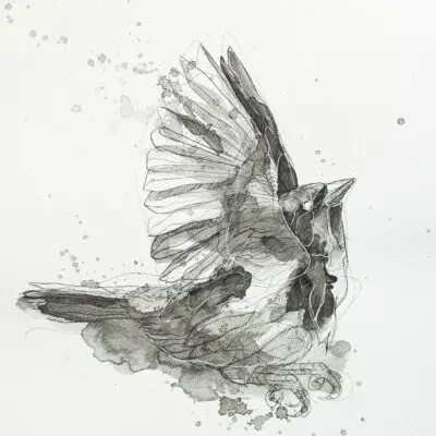 H 24, grafika 24 cm x 32 cm