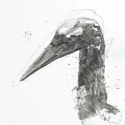 H 27 grafika 24 cm x 32 cm